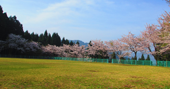 芝生広場